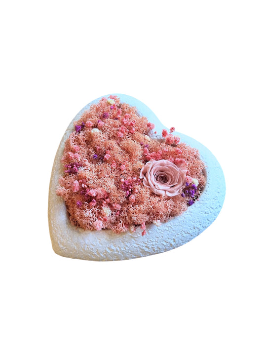 HC - Cuore con muschio e rosa stabilizzati
