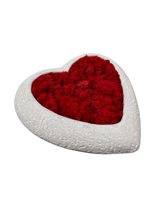 HC - Cuore con muschio stabilizzato