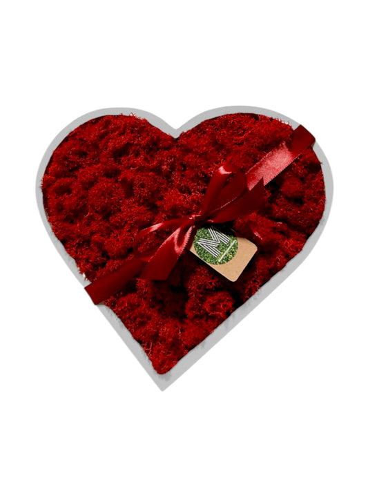 HC - Cuore con muschio stabilizzato