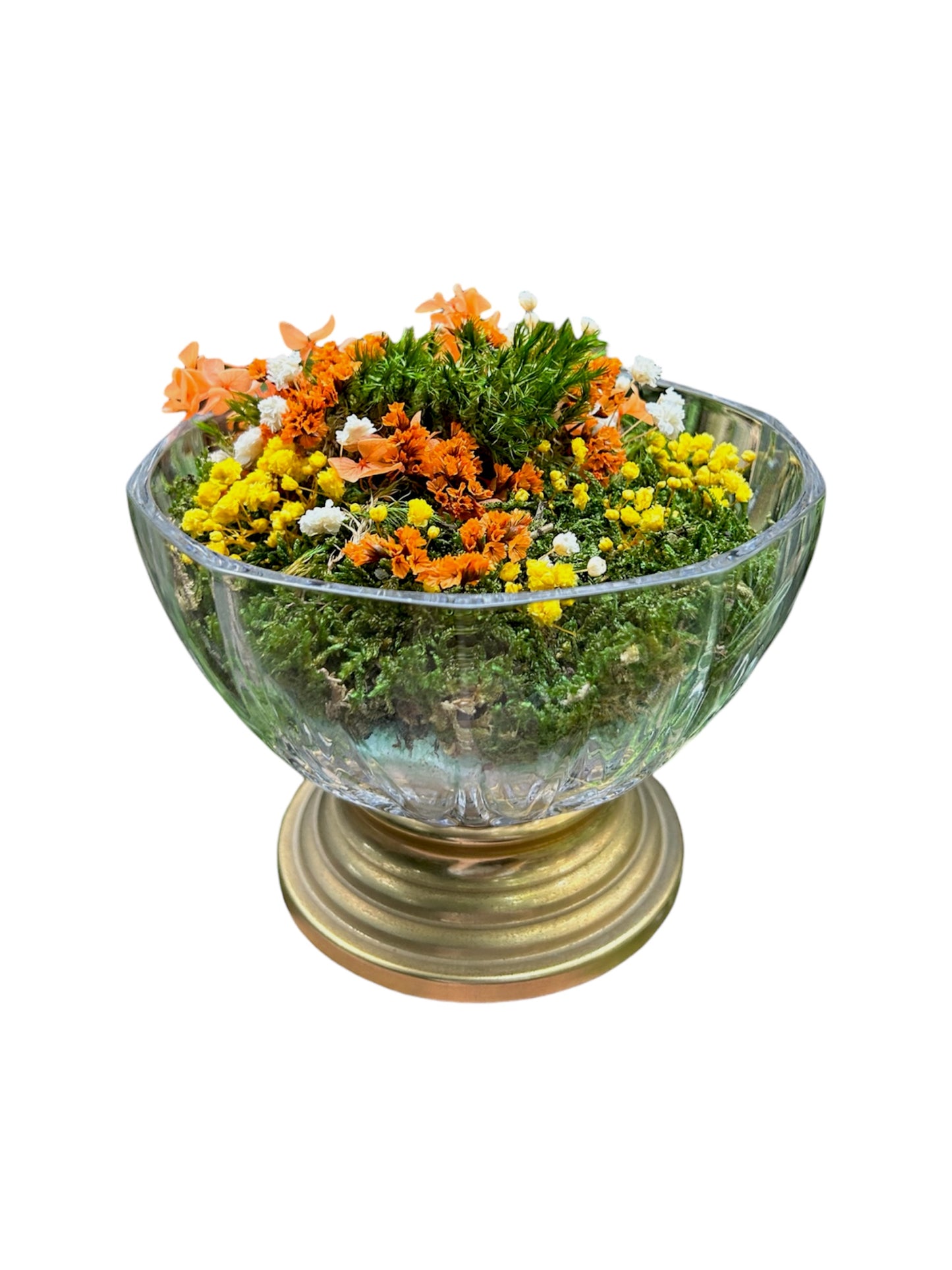 Glass Moss Garden VI - Terrarium in cristallo con muschio e fiori stabilizzati