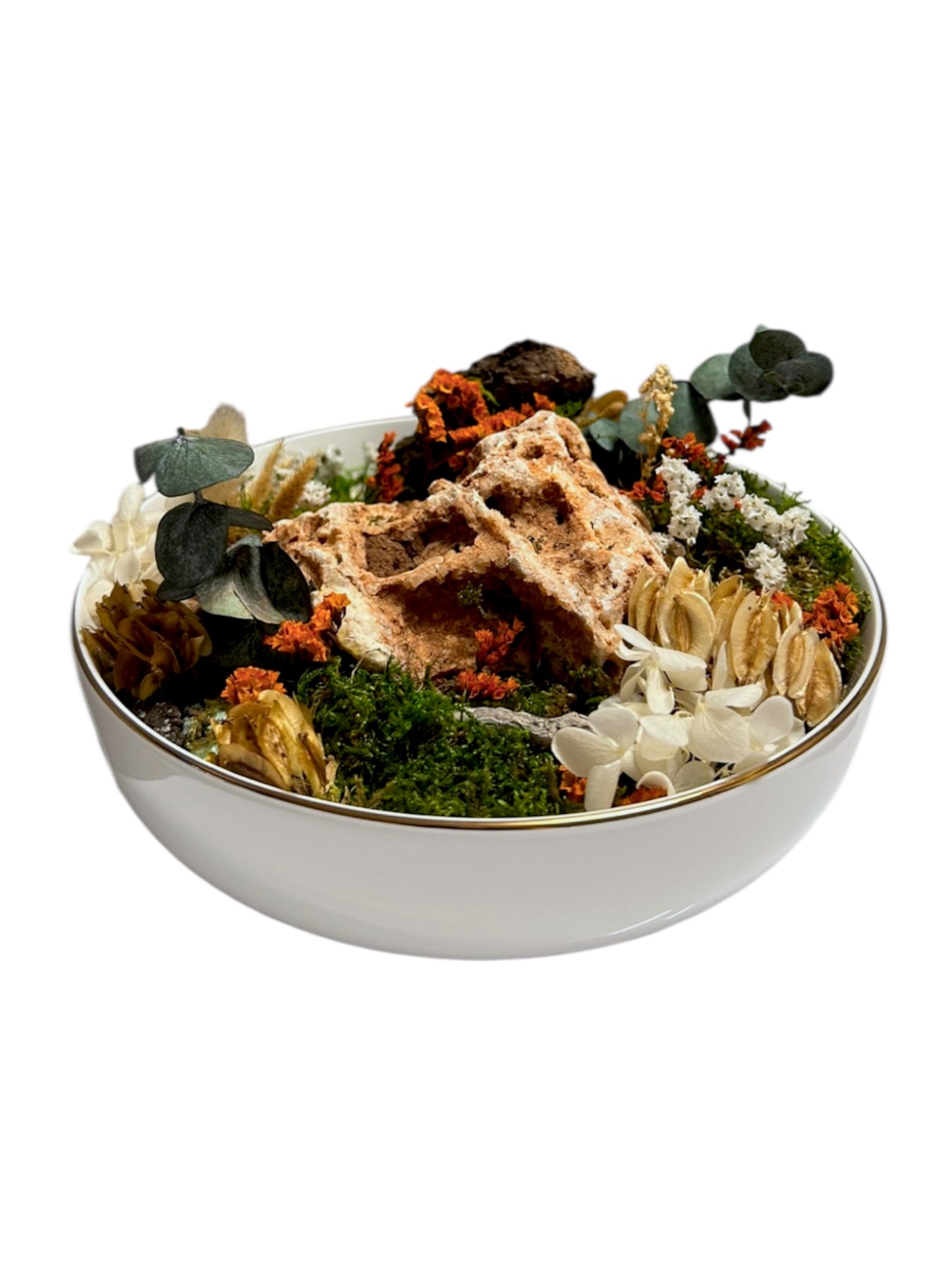 Glass Moss Garden VII - Terrarium in porcellana con muschio e fiori stabilizzati